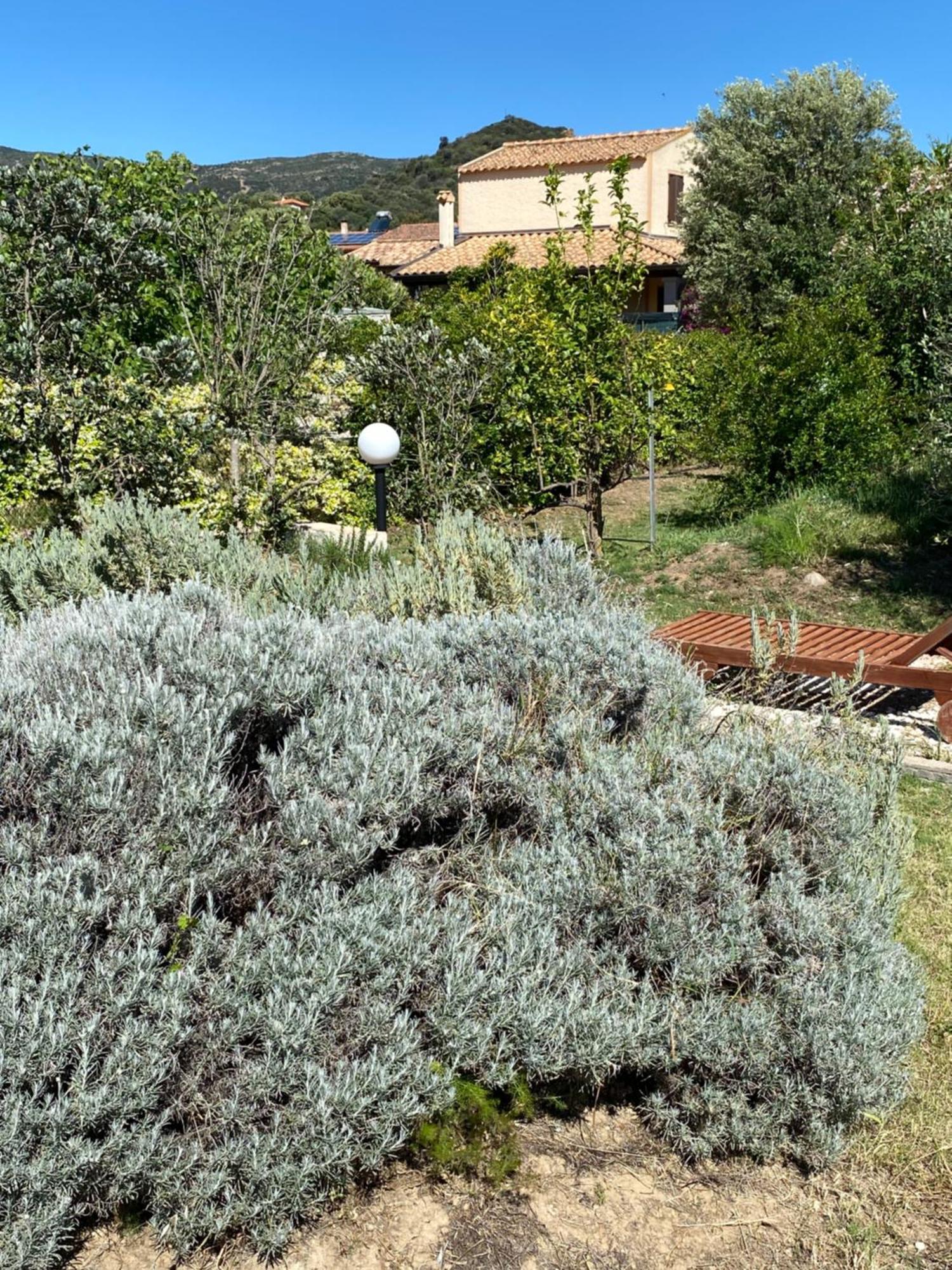 Lecallebed-Breakfast Chia Extérieur photo